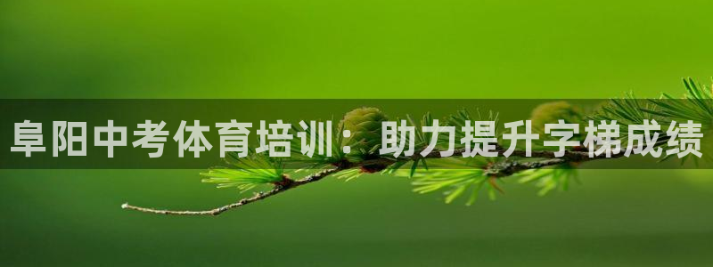 Z6尊龙凯时官方：阜阳中考体育培训：助力提升字梯成绩