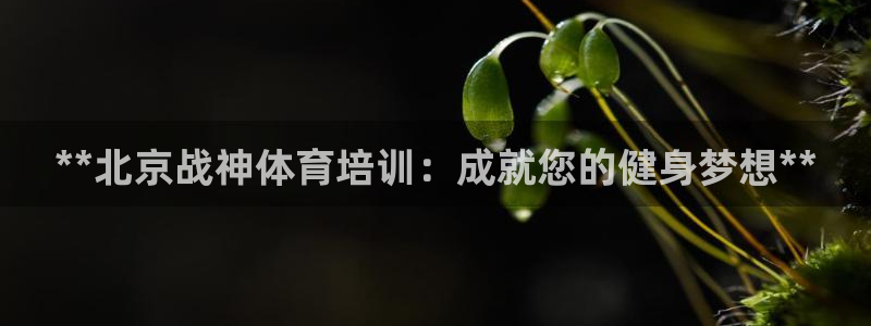 尊龙凯时官方网站下载