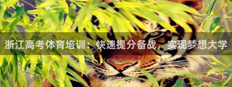 尊龙贴吧：浙江高考体育培训：快速提分备战，实现梦想大