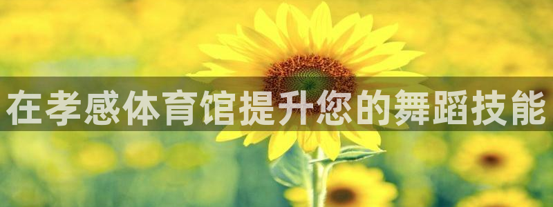 尊龙官网网站：在孝感体育馆提升您的舞蹈技能