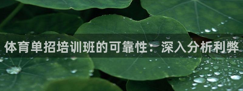 尊龙d88平台版下载：体育单招培训班的可靠性：深入分
