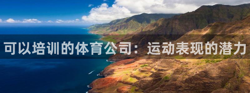 尊龙凯时有没有出不了款的情况：可以培训的体育公司：运