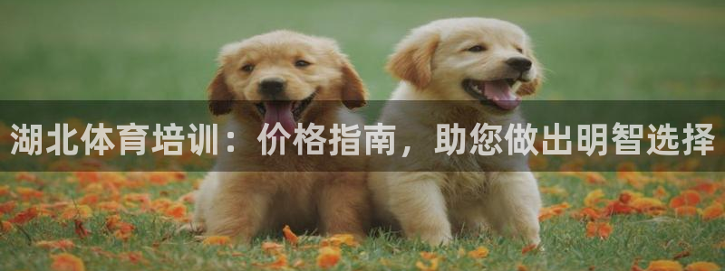尊龙人生就是博现金：湖北体育培训：价格指南，助您做出