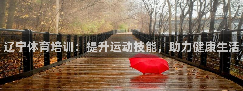 尊龙AG旗舰厅APP：辽宁体育培训：提升运动技能，助