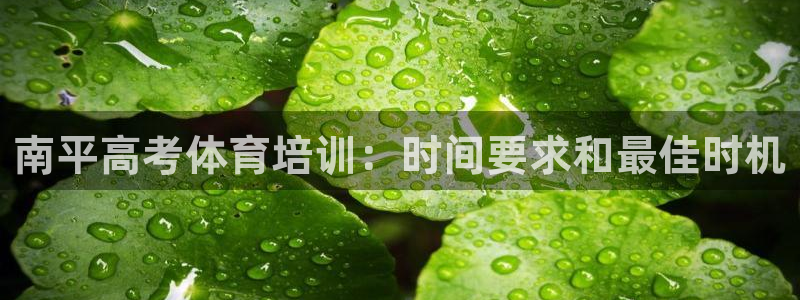 尊龙凯时企业文化：南平高考体育培训：时间要求和最佳时
