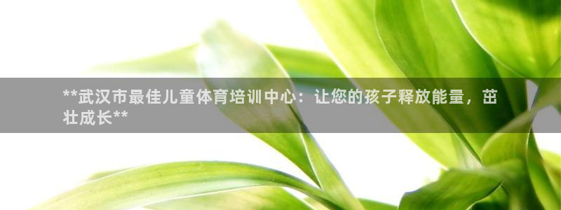 凯时在线平台官网：**武汉市最佳儿童体育培训中心：让