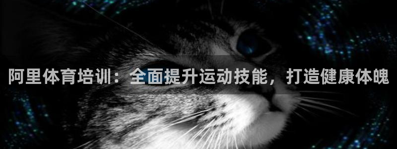 尊龙最经典的三个角色：阿里体育培训：全面提升运动技能