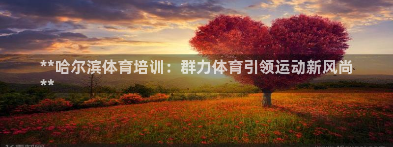尊龙人生就是博中国区：**哈尔滨体育培训：群力体育引