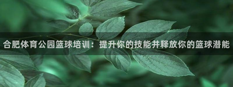 尊龙凯时取款24小时不到账：合肥体育公园篮球培训：提