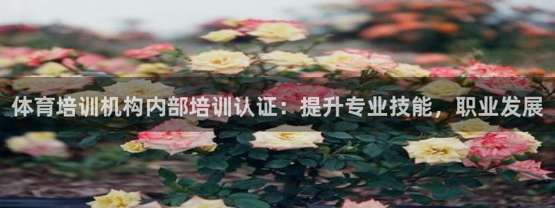 尊龙凯时app安装：体育培训机构内部培训认证：提升专