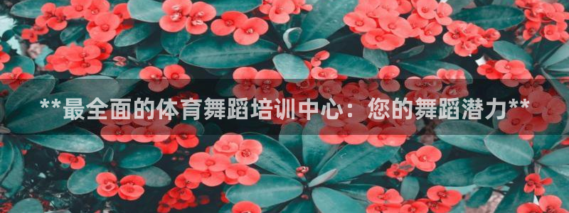 尊龙凯时网站赌愽是真的吗：**最全面的体育舞蹈培训中