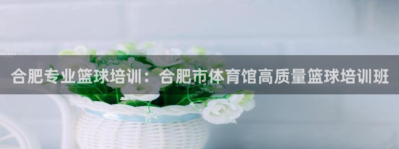 尊龙官方平台是正品吗：合肥专业篮球培训：合肥市体育馆