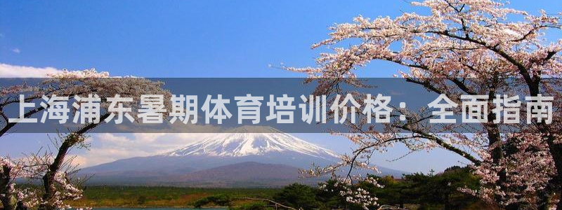 凯时国际app首页登录：上海浦东暑期体育培训价格：全