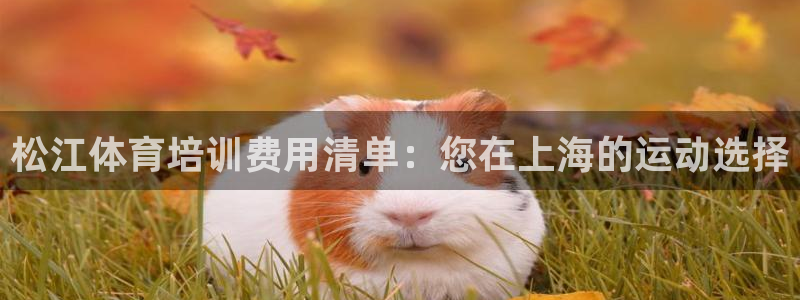 尊龙集团有限公司招聘：松江体育培训费用清单：您在上海