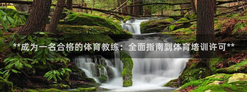 尊龙尊龙：**成为一名合格的体育教练：全面指南到体育