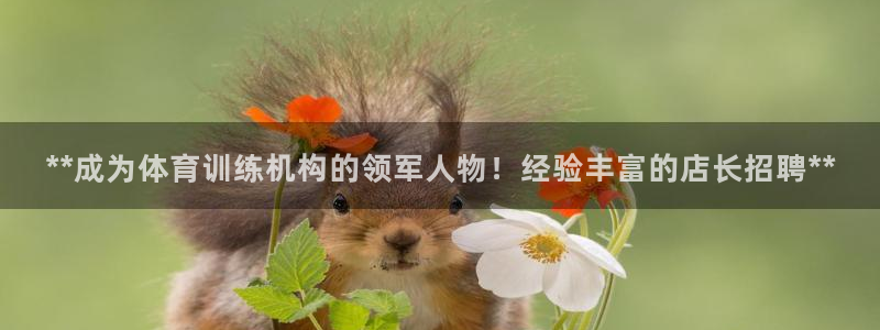 尊龙手机官方客户端下载：**成为体育训练机构的领军人