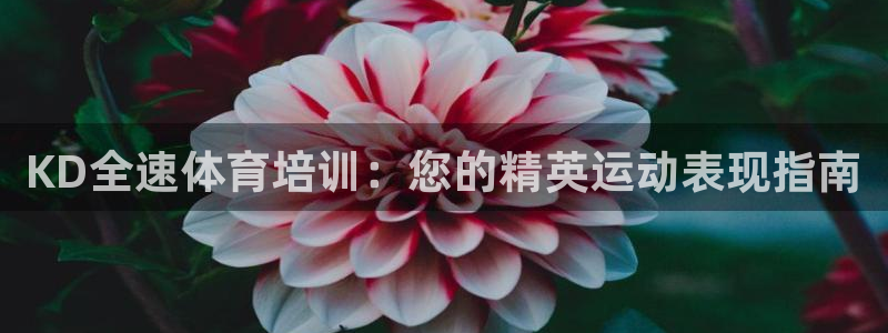 尊龙凯时ag旗舰厅：KD全速体育培训：您的精英运动表