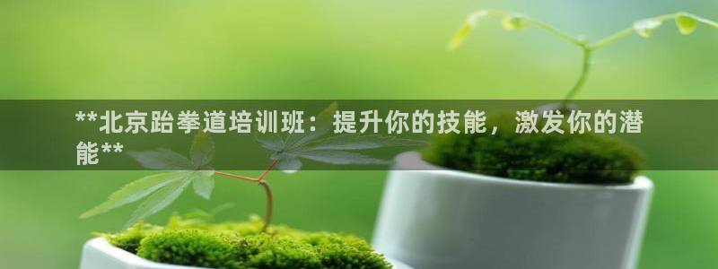 尊龙t600怎么样：**北京跆拳道培训班：提升你的技
