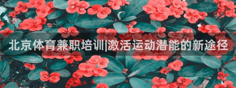 尊龙ktv怎么样：北京体育兼职培训|激活运动潜能的新