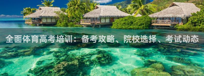 尊龙 5：全面体育高考培训：备考攻略、院校选择、考试