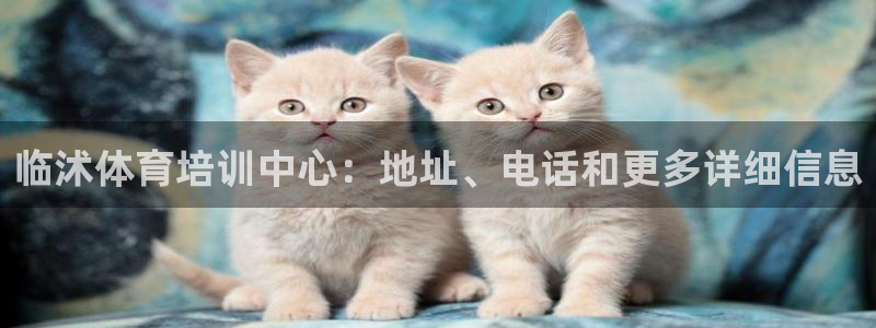 尊龙凯时登陆入口：临沭体育培训中心：地址、电话和更多