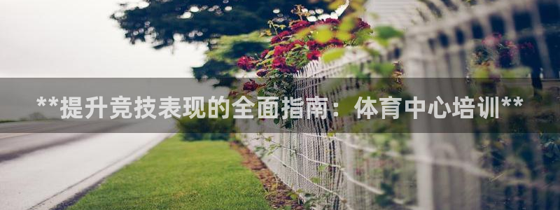 d88尊龙平台开户：**提升竞技表现的全面指南：体育