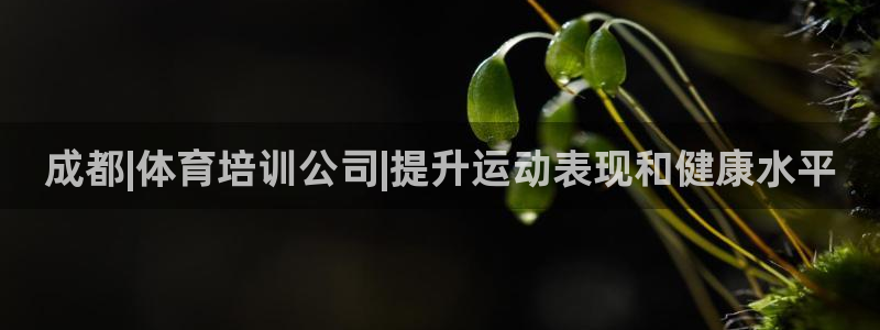 凯时app官方首页：成都|体育培训公司|提升运动表现