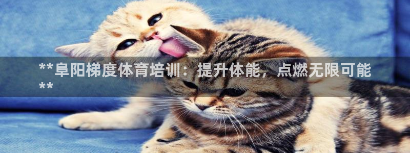 尊龙凯时网站是什么地方人开的：**阜阳梯度体育培训：