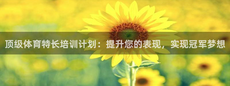 尊龙Ag：顶级体育特长培训计划：提升您的表现，实现冠