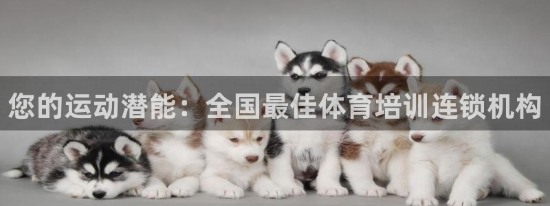 尊龙新版官网网页版：您的运动潜能：全国最佳体育培训连锁机构