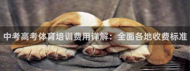 尊龙Ag：中考高考体育培训费用详解：全面各地收费标准