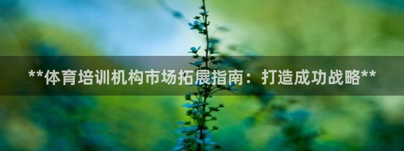 尊龙内地：**体育培训机构市场拓展指南：打造成功战略