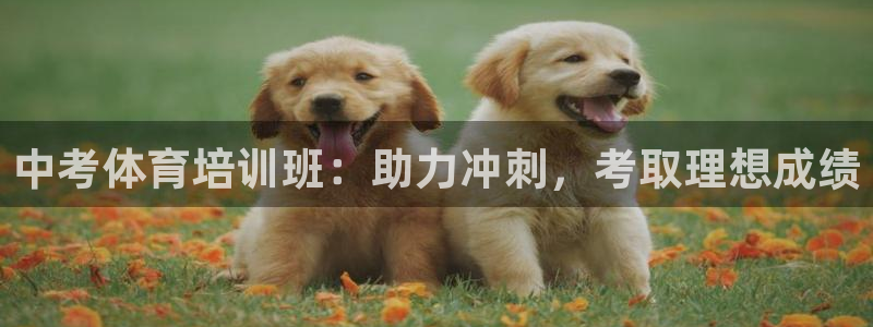 尊龙一生也走不出自己的童年：中考体育培训班：助力冲刺，考取理