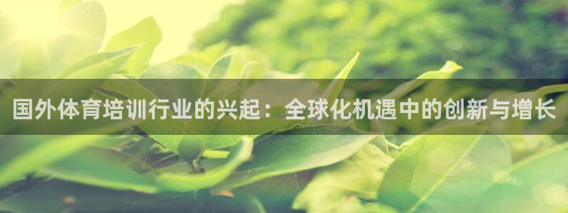 尊龙凯时的钱能退回来吗：国外体育培训行业的兴起：全球