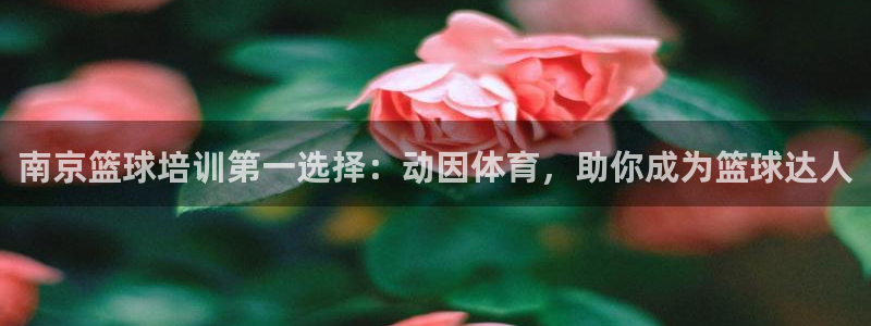 尊龙旗舰厅：南京篮球培训第一选择：动因体育，助你成为