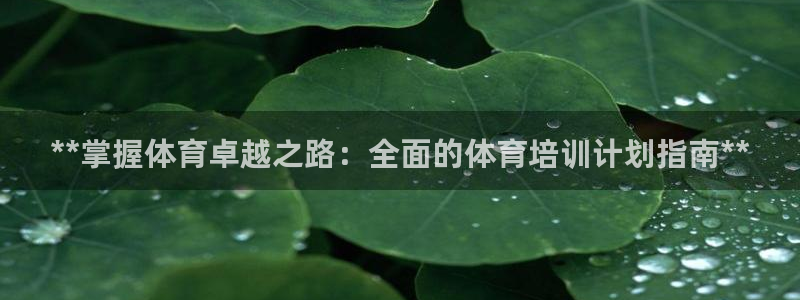 尊龙官网手：**掌握体育卓越之路：全面的体育培训计划