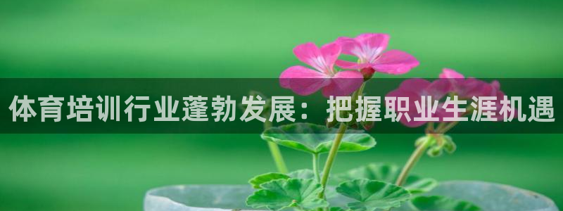 尊龙凯时处理未到账：体育培训行业蓬勃发展：把握职业生