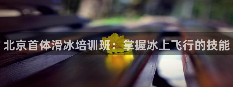 尊龙凯时网页版：北京首体滑冰培训班：掌握冰上飞行的技