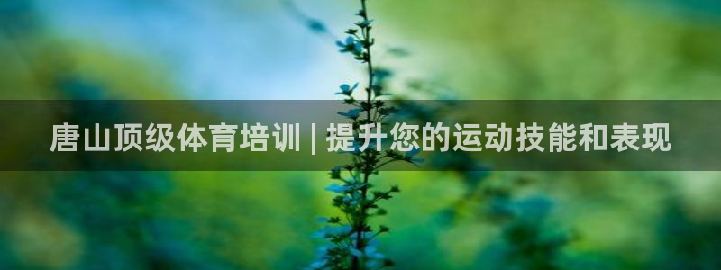 百度一下尊龙：唐山顶级体育培训 | 提升您的运动技能和表现