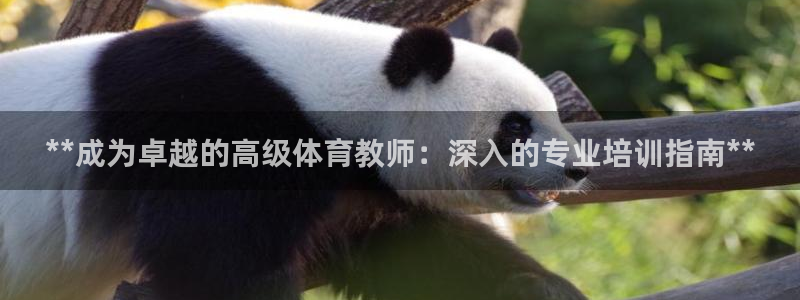 尊龙app认可ag发财网：**成为卓越的高级体育教师