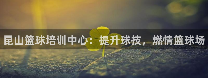 尊龙多少岁：昆山篮球培训中心：提升球技，燃情篮球场