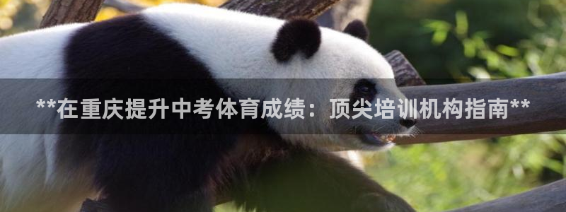 尊龙凯时官网正规吗：**在重庆提升中考体育成绩：顶尖