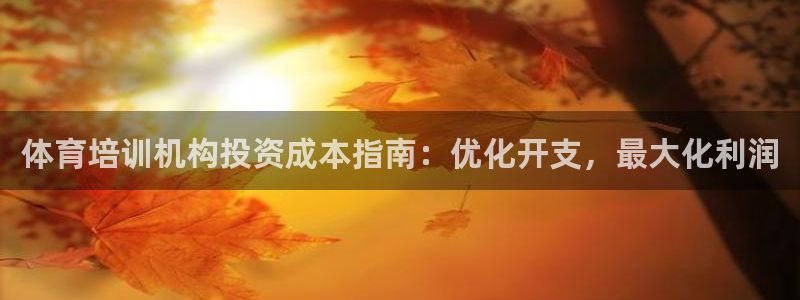 尊龙现金一下指导AG发财网：体育培训机构投资成本指南