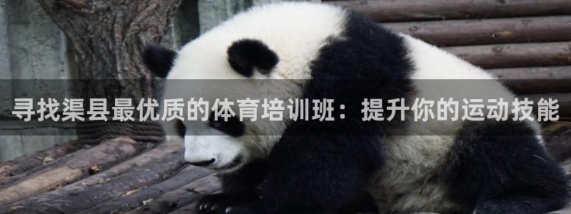 z6尊龙凯时旗：寻找渠县最优质的体育培训班：提升你的