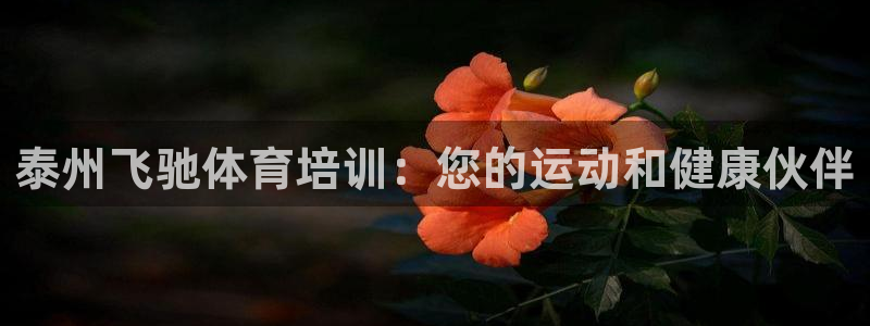 凯时登录界面：泰州飞驰体育培训：您的运动和健康伙伴