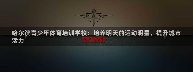 尊龙 5：哈尔滨青少年体育培训学校：培养明天的运动明