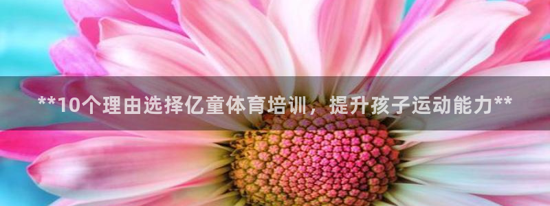 尊龙人生就是博管网：**10个理由选择亿童体育培训，
