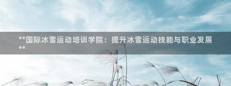 尊龙平台有谁玩过：**国际冰雪运动培训学院：提升冰雪