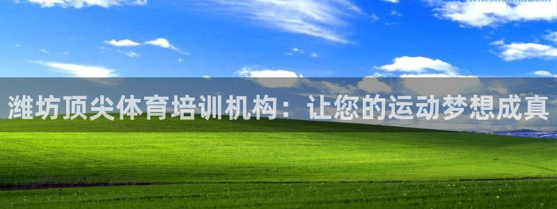 尊龙凯时取款24小时不到账：潍坊顶尖体育培训机构：让