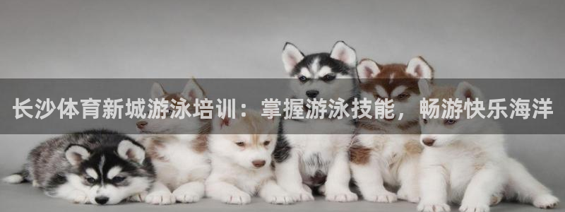 尊龙ag旗舰厅登录 租车app下载：长沙体育新城游泳培训：掌